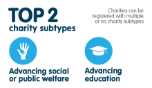 Top 2 charity subtypes